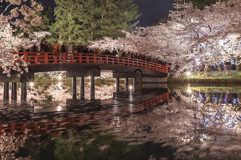 The Ultimate Guide to Japan’s Most Breathtaking Cherry Blossom Views by Region 10 Hirosaki Castle park Aomori Japan