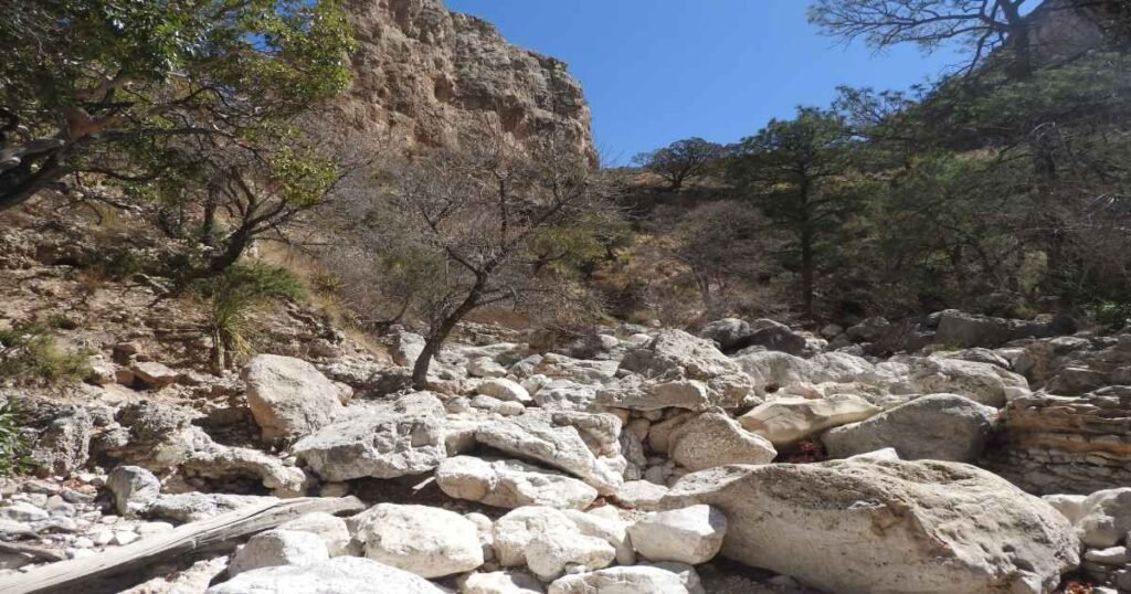 Hiking, Lakes, and Wildlife: My North Texas Adventure 4