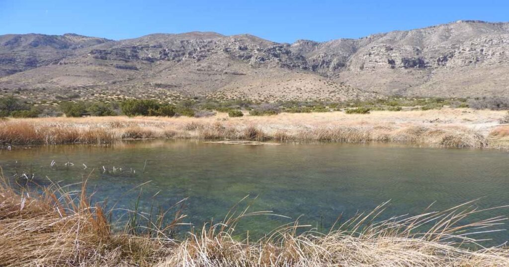 Hiking, Lakes, and Wildlife: My North Texas Adventure 5