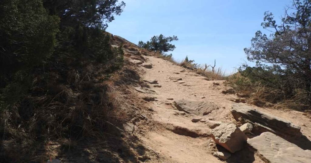 Hiking, Lakes, and Wildlife: My North Texas Adventure 7