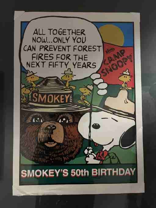 The Smokey Bear Museum: A Hidden Gem in New Mexico