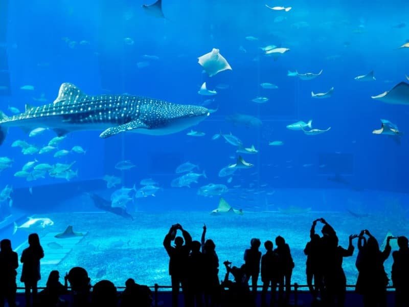 3 Summer Travel Itineraries Japan : Nature, Adventure & Hidden Gems 44