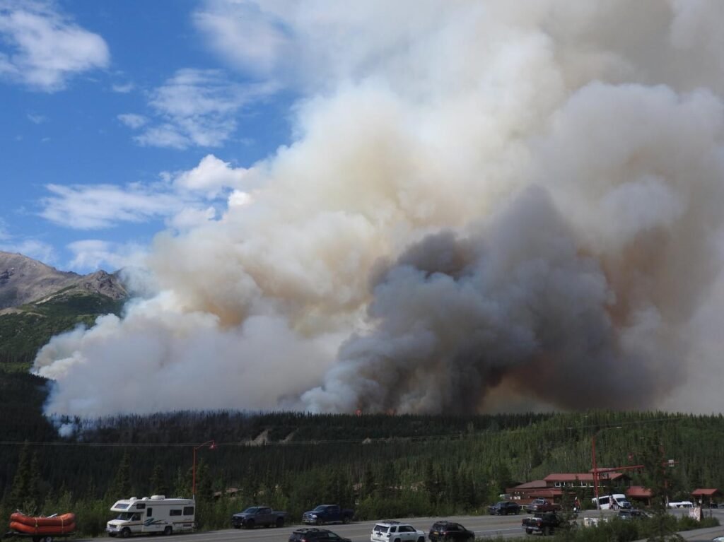 6 Best Places to Visit in Alaska for First Time Visitors 4 Denali wild fire