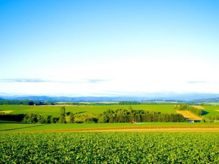 3 Summer Travel Itineraries Japan : Nature, Adventure & Hidden Gems 5 Hokkaido summer image in Japan