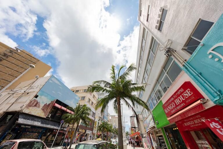 3 Summer Travel Itineraries Japan : Nature, Adventure & Hidden Gems 39 Kokusai dori Okinawa in Japan
