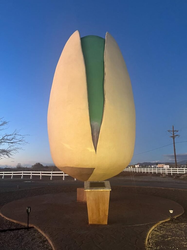 From UFOs to Nuts: Exploring the Peculiar Gems of New mexico