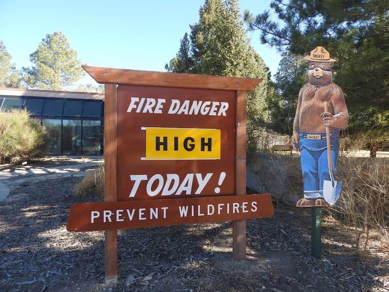 Smokey Bear