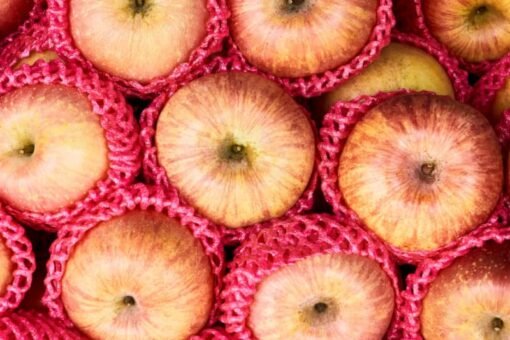 Apple wrapping image Apple wrapping image