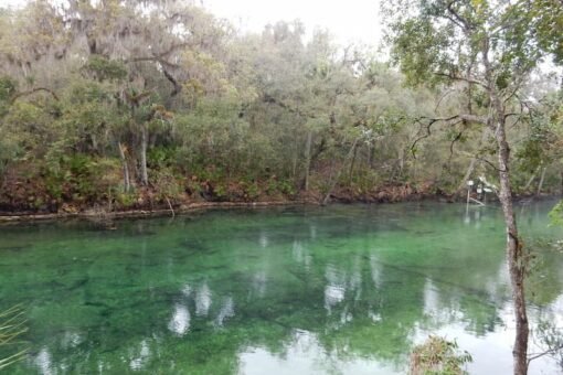 Blue Spring-image Blue Spring Florida image