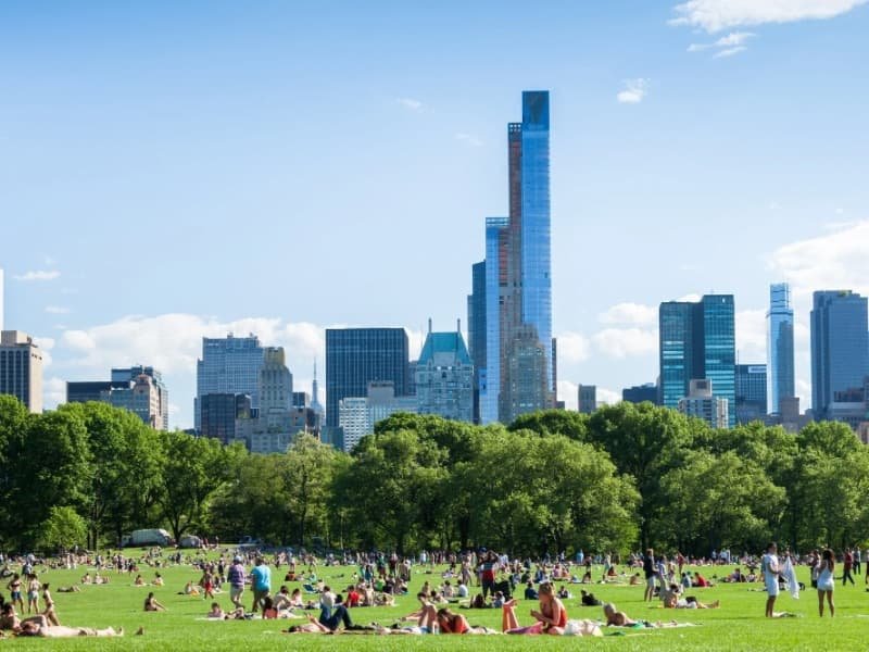 New York vs Tokyo: A Japan Traveler’s Thought on 2 Wonderful Cities 3 Central Park NY USA