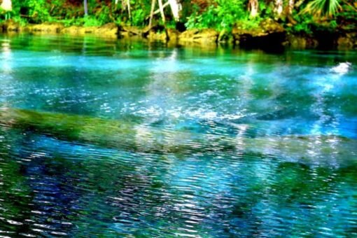 Crystal River image Crystal river in Florida image