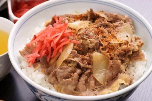 Gyudon image Gyudon image in Japan