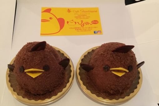 Piyorin Piyorin