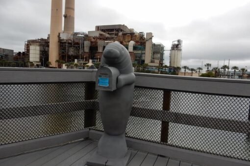 TECO-Manatee image