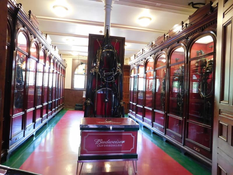 Budweiser Brewery Experience in St. Louis, Missouri