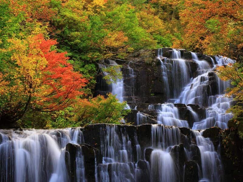 Fall Foliage land scape image Japan