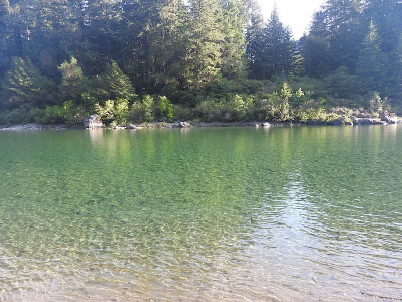 West Coast USA road trip itinerary-California, Oregon & Nevada: Redwoods, Waterfalls & Hidden Gems 4 Jedediah Smith Redwoods State Park