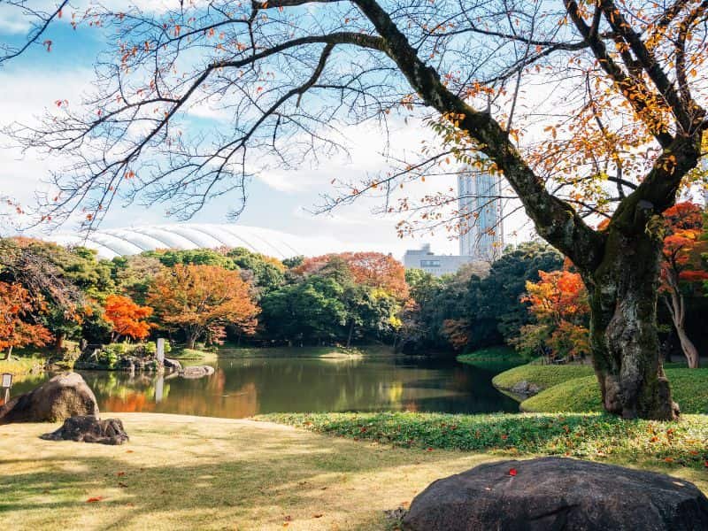 Koishikawa Korakuen Tokyo Japan Image