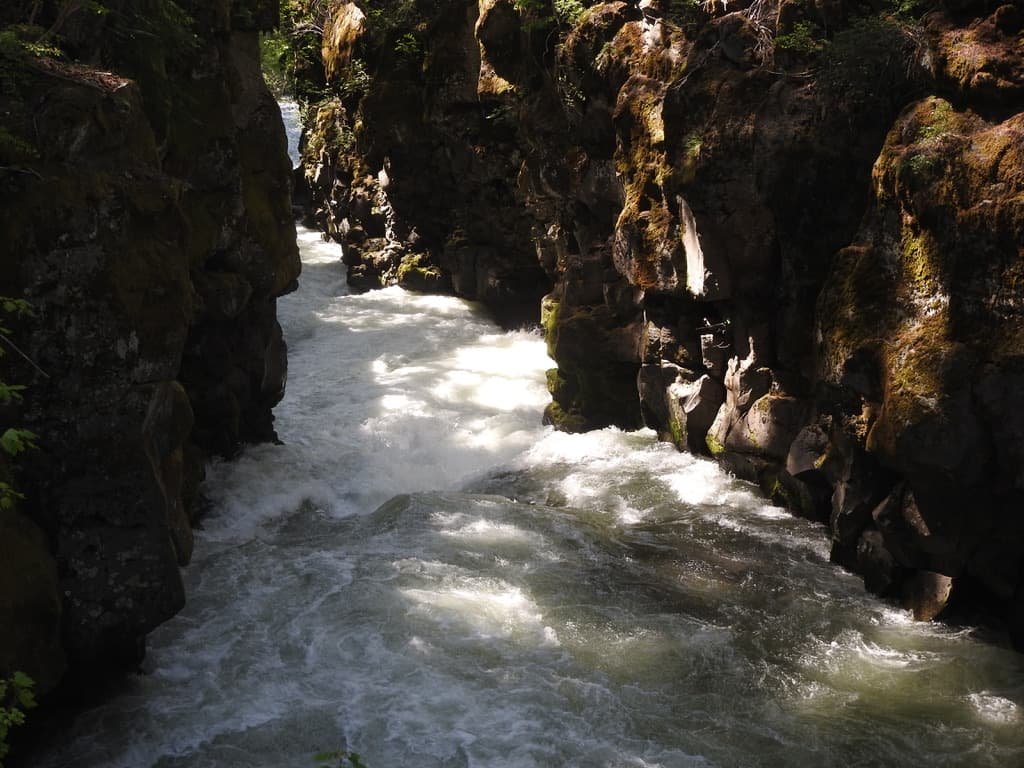 West Coast USA road trip itinerary-California, Oregon & Nevada: Redwoods, Waterfalls & Hidden Gems 9