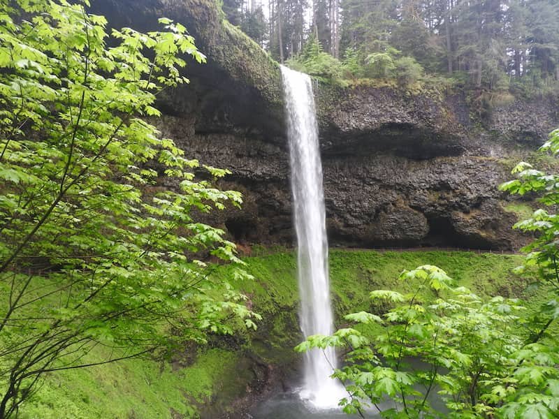 West Coast USA road trip itinerary-California, Oregon & Nevada: Redwoods, Waterfalls & Hidden Gems 5 Silver Falls State Park