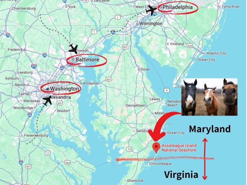 Fantastic Assateague Island-Wild Horse Beach in Maryland: Complete Travel Guide 2 MAP-wild horse beach in Maryland