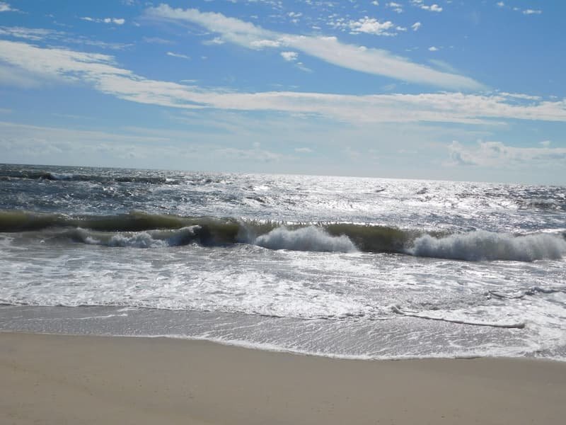 Fantastic Assateague Island-Wild Horse Beach in Maryland: Complete Travel Guide 3 Assateague Island sea