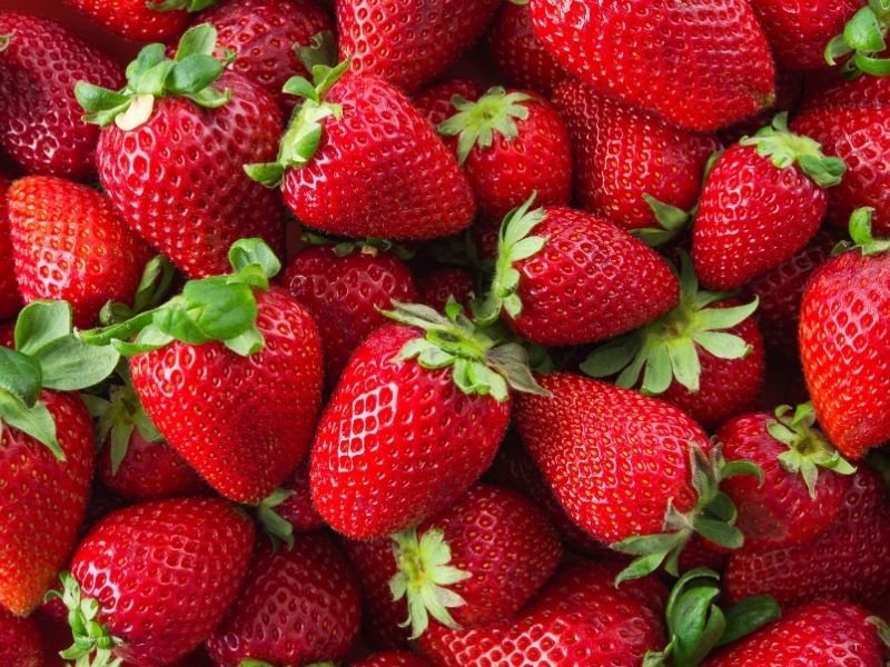 Delicious Japanese Seasonal Food Guide: Eat Like a Local in Japan 6 Ichigo image
