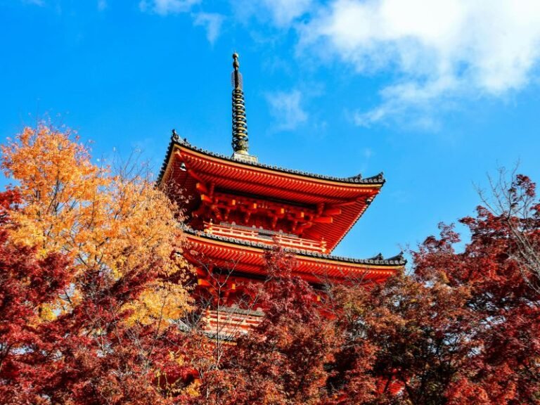 Image-Western Japan Fall Foliage