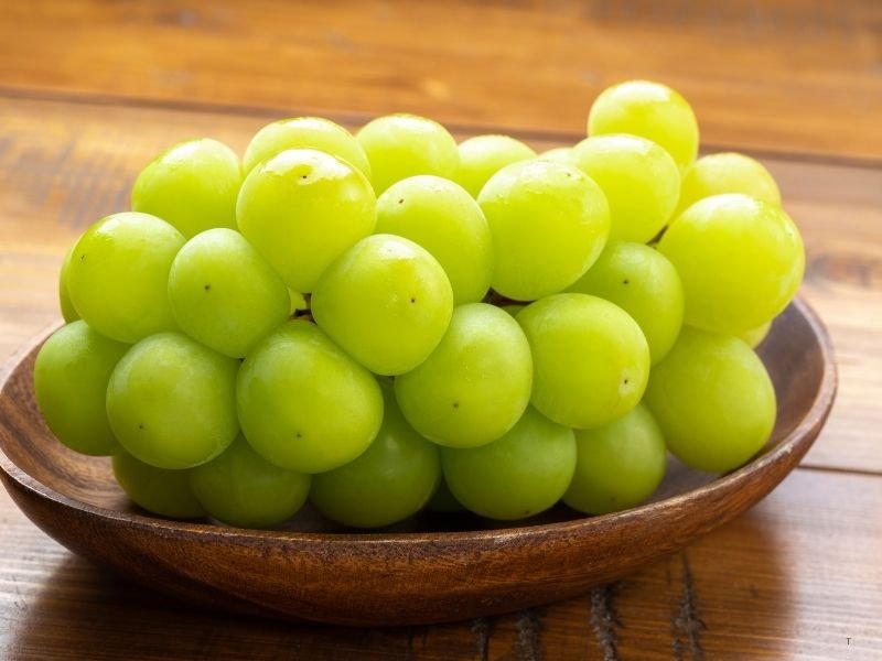 Delicious Japanese Seasonal Food Guide: Eat Like a Local in Japan 32 Japanese Muscat image