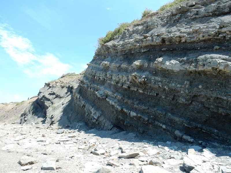 Joggins Fossil Cliffs-1