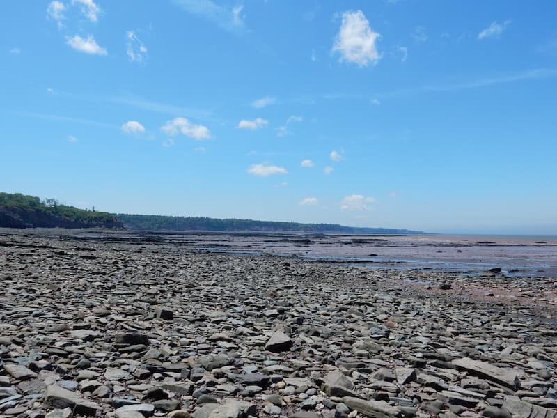 Joggins Fossil Cliffs