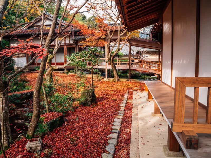 Perfect 7-day Japan Fall Foliage Itinerary (Kansai area): Kyoto, Nara, Osaka & More (2025 Guide) 13