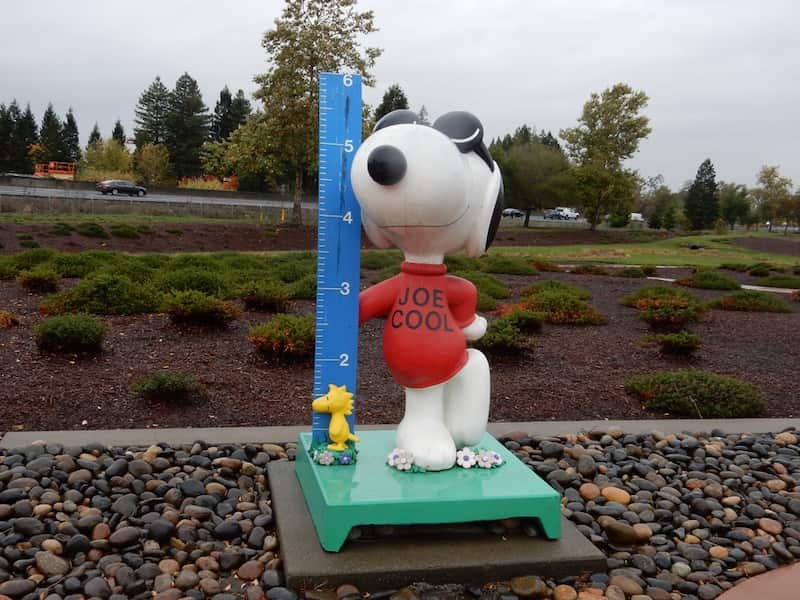 Kaiser Permanente Medical Center-Snoopy