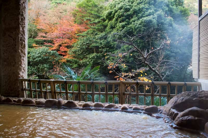 Perfect 7-day Japan Fall Foliage Itinerary (Kansai area): Kyoto, Nara, Osaka & More (2025 Guide) 22