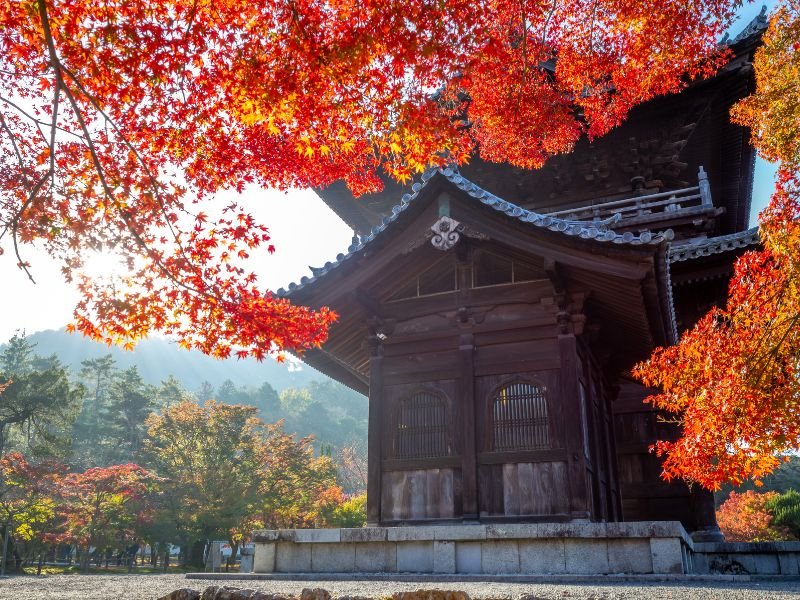 Perfect 7-day Japan Fall Foliage Itinerary (Kansai area): Kyoto, Nara, Osaka & More (2025 Guide) 9 Nanzenji Kyoto Image Japan