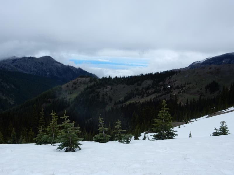 Unforgettable Seattle Vancouver Victoria Road Trip : 8 Day Itinerary 7 Olympic National Park