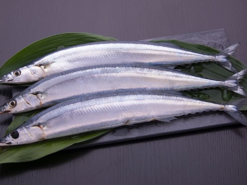 Delicious Japanese Seasonal Food Guide: Eat Like a Local in Japan 27 Sanma Japan