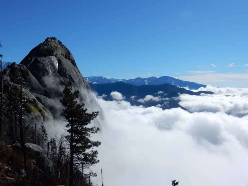 California road trip-Sequoia National Park