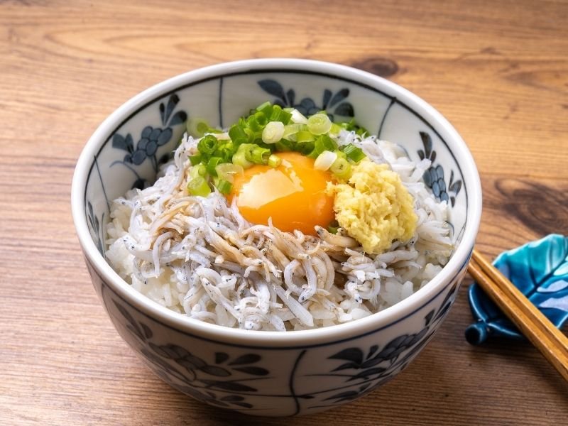 Delicious Japanese Seasonal Food Guide: Eat Like a Local in Japan 10 Shirasu don