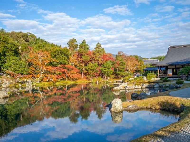 Perfect 7-day Japan Fall Foliage Itinerary (Kansai area): Kyoto, Nara, Osaka & More (2025 Guide) 11