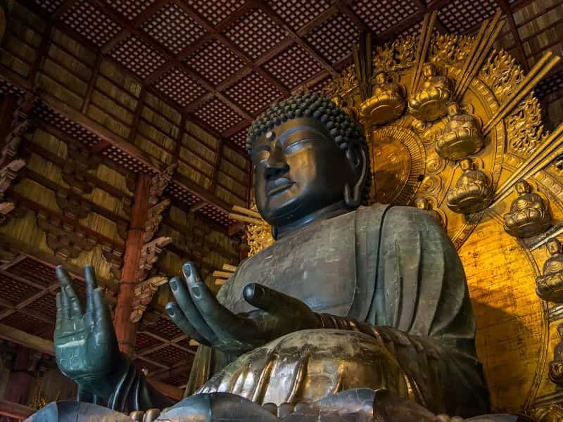 Perfect 7-day Japan Fall Foliage Itinerary (Kansai area): Kyoto, Nara, Osaka & More (2025 Guide) 16