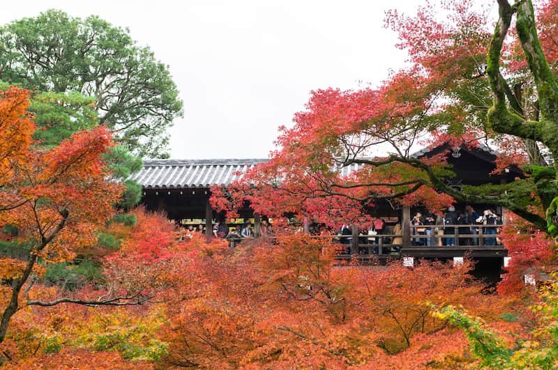 Perfect 7-day Japan Fall Foliage Itinerary (Kansai area): Kyoto, Nara, Osaka & More (2025 Guide) 4