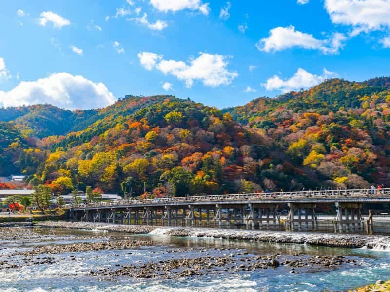 Perfect 7-day Japan Fall Foliage Itinerary (Kansai area): Kyoto, Nara, Osaka & More (2025 Guide) 14