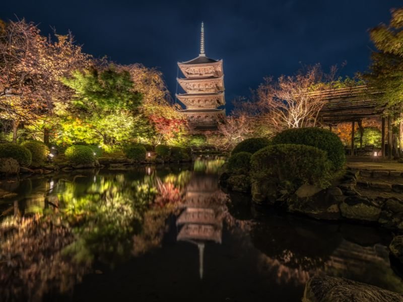Perfect 7-day Japan Fall Foliage Itinerary (Kansai area): Kyoto, Nara, Osaka & More (2025 Guide) 7