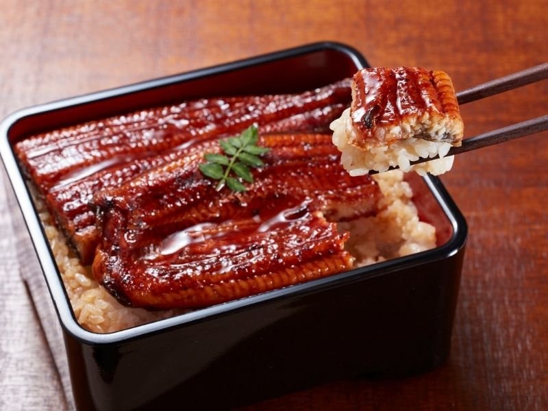 Delicious Japanese Seasonal Food Guide: Eat Like a Local in Japan 16 Una juu Japan