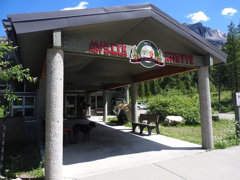 Miette Hot Springs