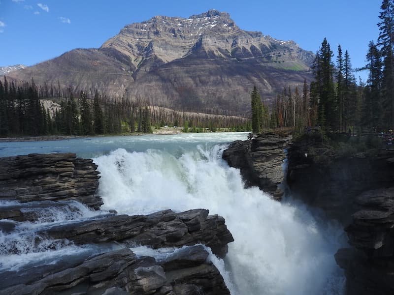 Sunwapta Falls