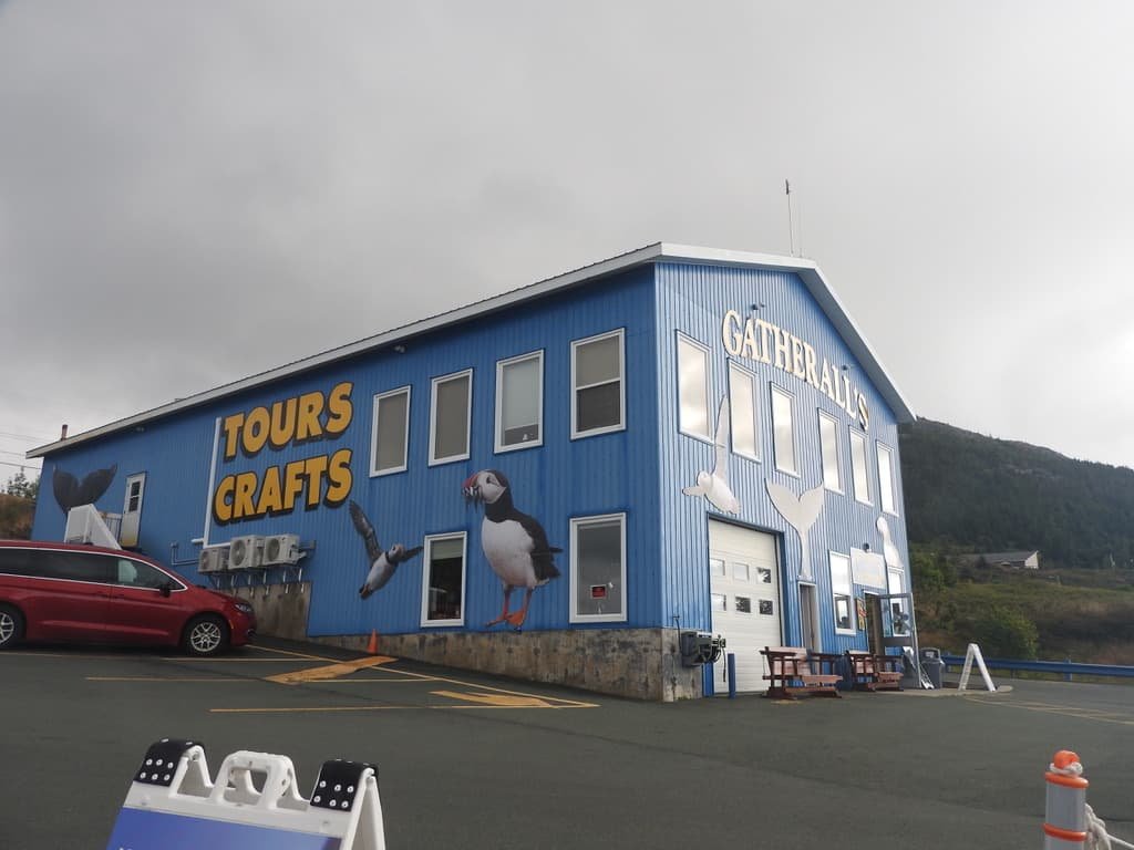 The Useful Guide to Puffin Watching tours in Newfoundland: What to Expect on Your First Visit 3 Gatherall's Boat Tours