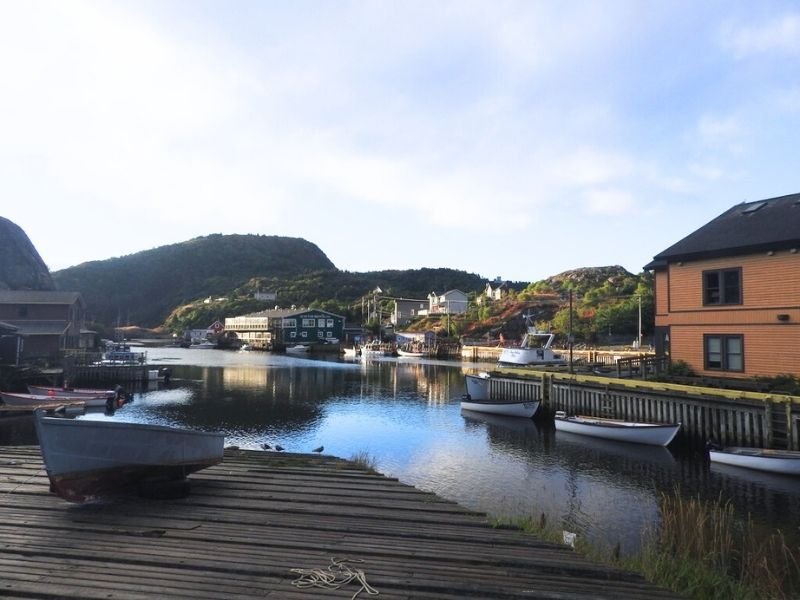 The Useful Guide to Puffin Watching tours in Newfoundland: What to Expect on Your First Visit 6 Quidi Vidi Village Newfoundland Canada